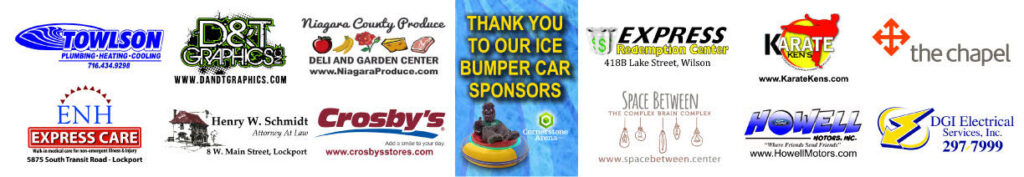 a collage of logos of companies that have support the ice bumper cars